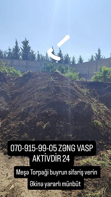 Bitki torpaqları: 070-915-99-05 - Meşə torpağı, qara torpaq və qazon altı torpaq. - — 2