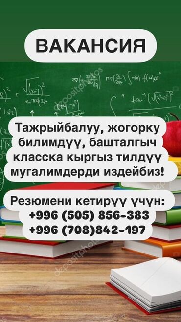 работа в библиотеке: Требуется Учитель - Кыргызский язык, 1-2 года опыта