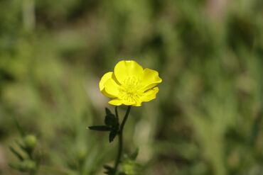 Fotokameralar: Canon 70D satılır əla vəziyyətdədir üstündə 18-135 lensultra — 13