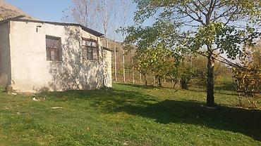 goranboy torpaq: 580 sot, Kənd təsərrüfatı, Makler, Kupça (Çıxarış) — 5