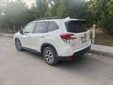 шевроле спарк 2017 цена: Subaru Forester: 2019 г., 2.5 л, Вариатор, Бензин, Кроссовер