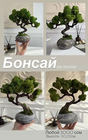 Декоративные цветы: Деревья-бонсай из натурального стабилизированного мха🌳 -это — 43