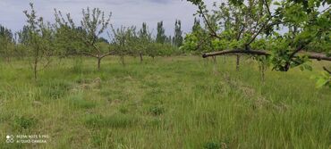 Продажа участков: 450 соток, Для сельского хозяйства at lalafo.kg — 15 Продажа участков: 450 соток, Для сельского хозяйства — 15