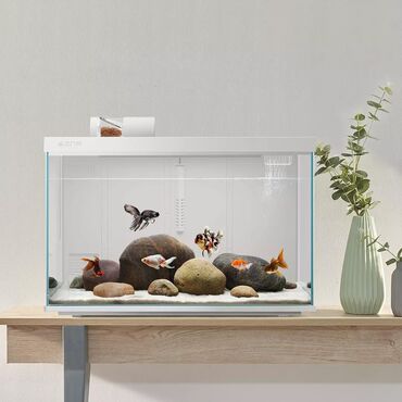 Отпариватели: 🔥Умный аквариум Xiaomi Geometry Smart Modular Ecological Fish Tank