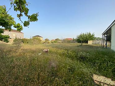bagi: 12 sot, Tikinti, Mülkiyyətçi, Kupça (Çıxarış) — 3