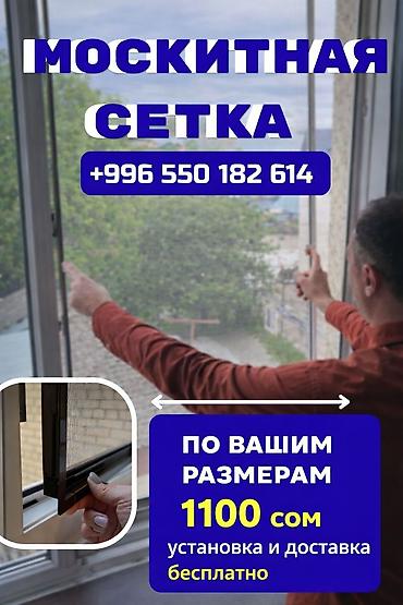 mini projector: Москитная сетка, На заказ — 1