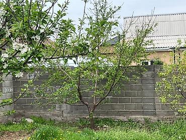 Продажа коттеджей и домов: Продается дом с просторным двором и хозяйственными постройками. - — 9