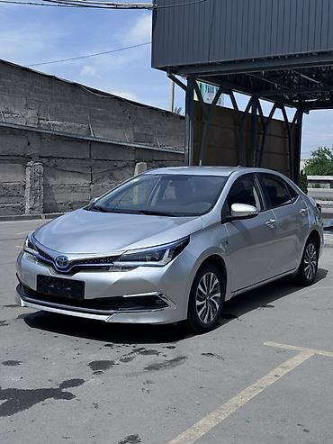 byd e1: Toyota Corolla: 2019 г., 1.8 л, Робот, Гибрид, Седан — 3