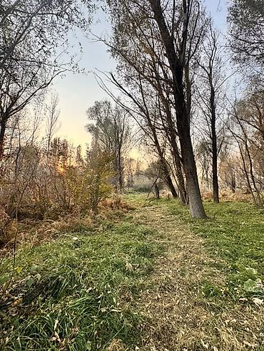продажа торговых контейнеров: 141 соток, Для бизнеса, Красная книга, Тех паспорт, Договор купли-продажи — 7