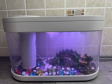 малек форели цена: Продаю аквариум Xiaomi Geometry Fish Tank Aquaponics Ecosystem. Умный