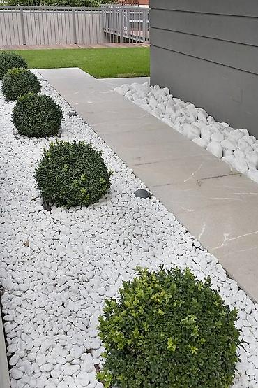 buynuzu: Ağ dekorativ çınqıl daşları – bağ və landşaft üçün Yem üçün iri və — 7