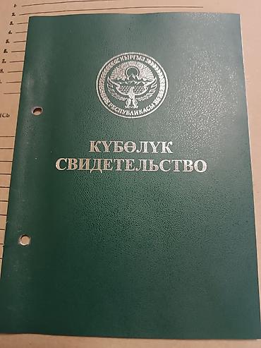old bishkek: 1600 соток, Для сельского хозяйства — 1
