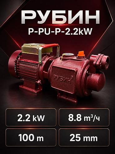 kw: Насос «РУБИН» R-PU-P 2.2 kW - Тип: поверхностный центробежный — 4