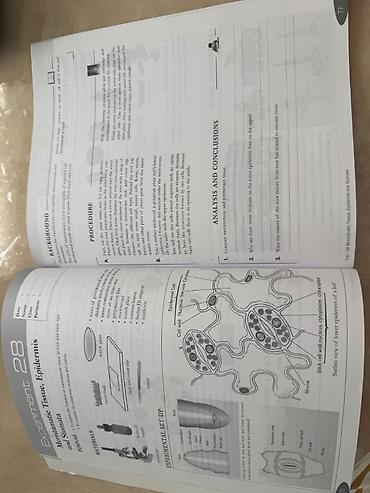 Книги и журналы: Məhsul: “Biology Laboratory Experiments” – praktiki biologiya — 4