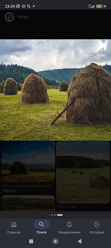 эшек сату: Продам сено с зерном подсев — 1