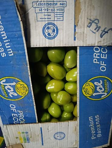 продажа еврокубов бу: Зелёные сливы (алыча) в ящиках - Форма: овальная, калибр ровный - — 1