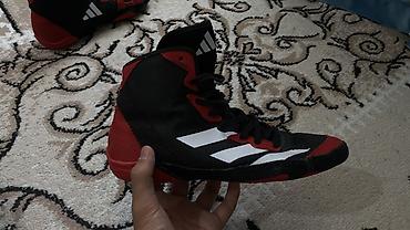 loro pian: Мужские кроссовки, 38.5, Adidas, Новый, цвет - Черный — 1