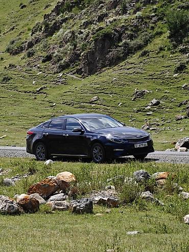 лт 55: Kia K5: 2019 г., 2 л, Автомат, Газ, Седан — 4