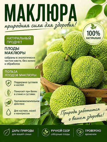 Плоды Адамово яблоко,маклюра. Бишкек