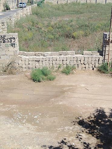 mastaga emlak: Tikinti — 3