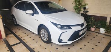 я ищу машина: Toyota Corolla: 2019 г., 1.8 л, Автоматические, Гибрид, Седан