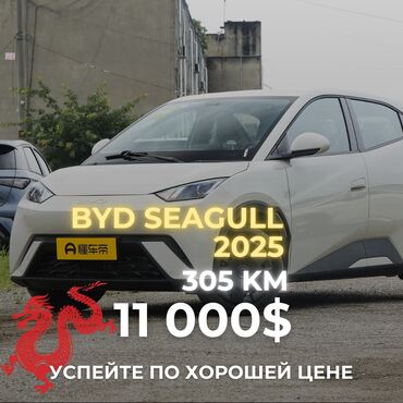 электромобил byd: BYD Seagull 2025 на 405 км 🔸Nomad Cars рада представить Вашему