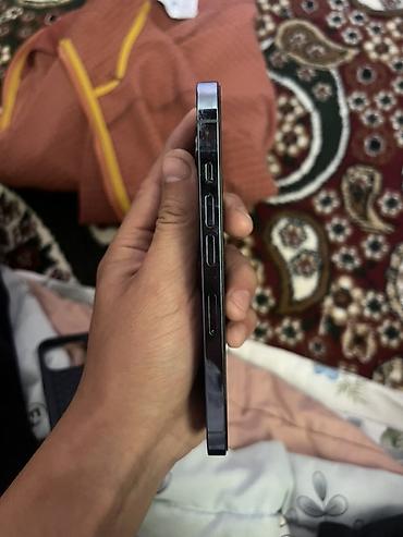 iphone 13 min: IPhone 13 Pro (Titanium) — смартфон Цвет на фото — светлый — 4