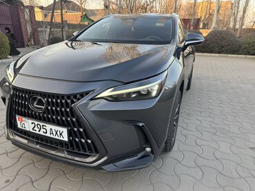 Lexus: Lexus NX: 2022 г., 2.5 л, Автомат, Бензиновая, Кроссовер — 3