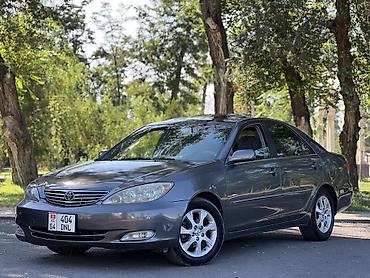 камри 55 амерканец: Toyota Camry: 2005 г., 2.4 л, Автомат, Газ, Седан — 2