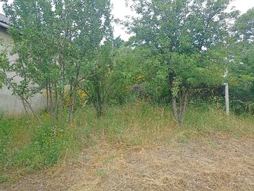 Bağ evlərinin satışı: Yardımlı, 120 kv. m, 4 otaqlı, Hovuzsuz, Qaz, İşıq -da lalafo.az — 9 Bağ evlərinin satışı: Yardımlı, 120 kv. m, 4 otaqlı, Hovuzsuz, Qaz, İşıq — 9