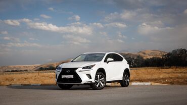 белый лексус: Lexus NX: 2018 г., 2 л, Автомат, Бензин, Кроссовер