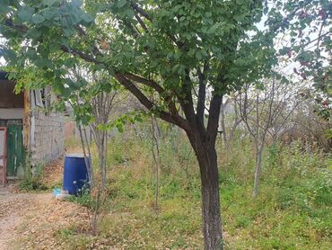 Продажа домов: Дача, 50 м², 3 комнаты, Собственник — 6