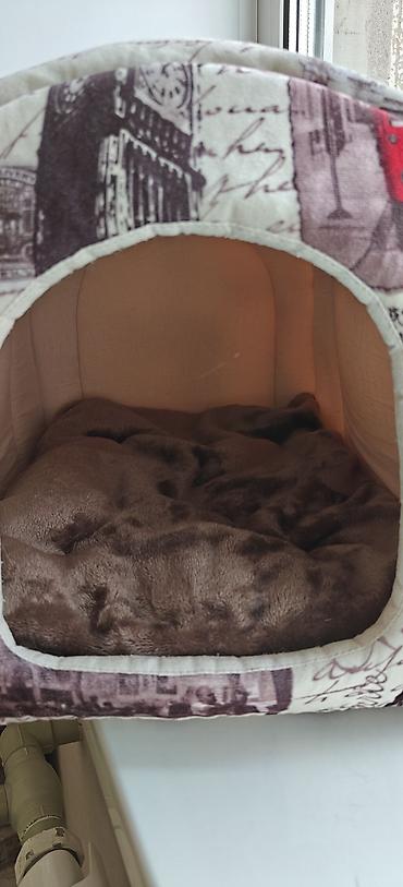 кот: Продаём домик для кошек или котят и игровой коврик, всё в идеальном — 6