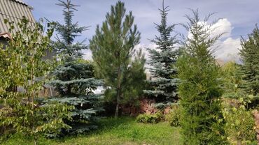 Продажа домов: Дом, 69 м², 5 комнат, Собственник — 20