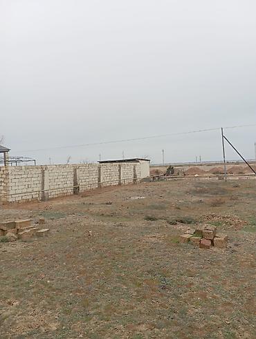 tap az agdas: 4 sot, Mülkiyyətçi, Kupça (Çıxarış) — 2