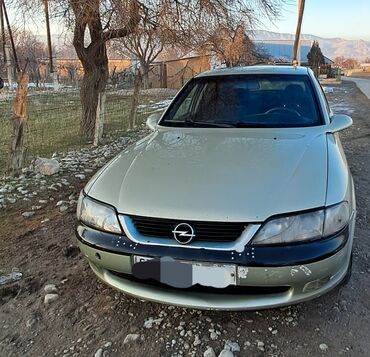 тюнинг опель вивара: Opel Vectra: 1997 г., 1.8 л, Механика, Бензин, Седан