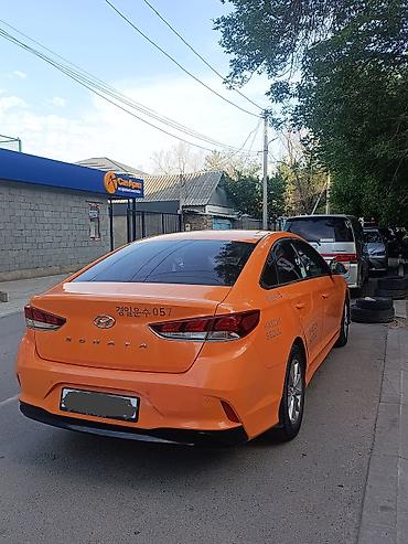 шины на саната: Hyundai Sonata: 2019 г., 2 л, Автомат, Газ, Седан — 2