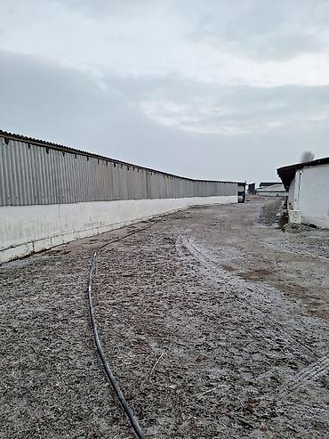 Продажа сельхоз предприятий: Продам большую ферму,расположеную в Сокулукском районе,возле — 8