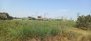 Torpaq sahələrinin satışı: 50 sot, Mülkiyyətçi, Kupça (Çıxarış) — 8