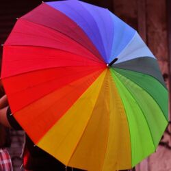 Toxumlar: •DEKOR ÇƏTİRLƏRİ:GÖY QURŞAĞI VƏ SARI RƏNGDƏ ÇƏTİRLƏR🌂 (GÜNDƏLİKDƏ