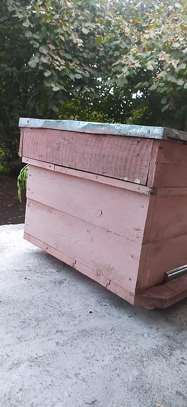 Arı yeşikləri: Arı pətəyi (taxta korpus) - Material: qalın taxta lövhələrdən — 4