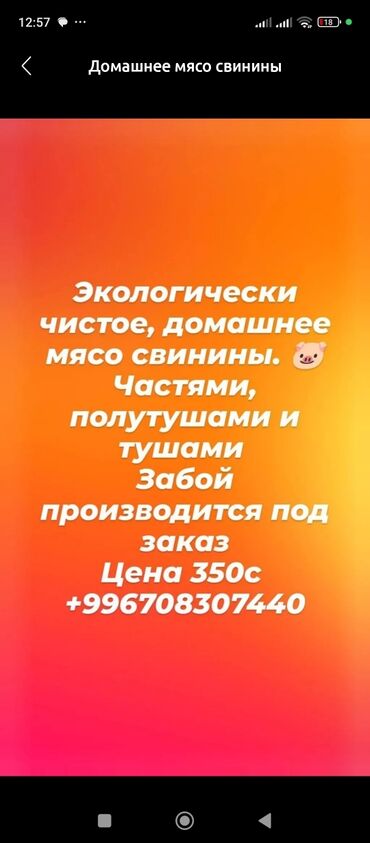 Свиньи: Домашнее мясо свинины. 🐷 Частями, полутушами и тушами Забой