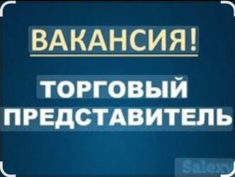 официант нават: В компанию требуется Торговый Агент с личным авто, по Ыссык-Кульскому