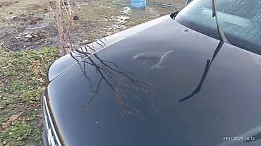 Audi: Audi 80: 1992 г., 2 л, Механика, Бензин, Седан — 6