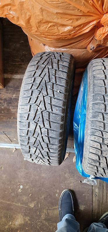 шипы для колес: Комплект зимних шин с шипами, 4 шт. - Модель: Nexen Winguard WinSpike — 3
