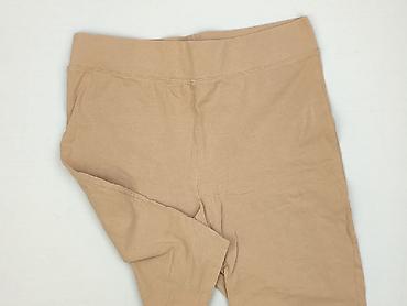 campus kapcie: Legginsy Krótkie damskie, rozmiar 2XL — 1