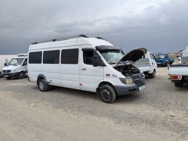 Mercedes-Benz: Mercedes-Benz Спринтер: 2003 г., 2.7 л, Механика, Дизель, Бус