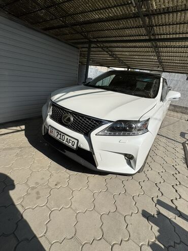 капот белая зайчик lexus 470: Lexus RX: 2010 г., 3.5 л, Автоматические, Бензин, Кроссовер