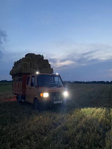 мтз 40: Грузовик, Mercedes-Benz, Дубль, 4 т, Б/у — 4