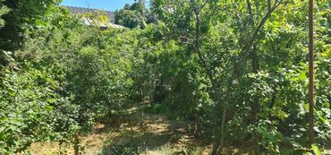 Həyət evləri və villaların satışı: 5 otaqlı, 200 kv. m, Orta təmir — 6